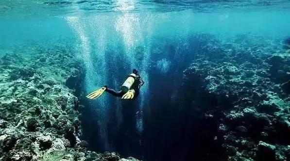 救援海盗章鱼